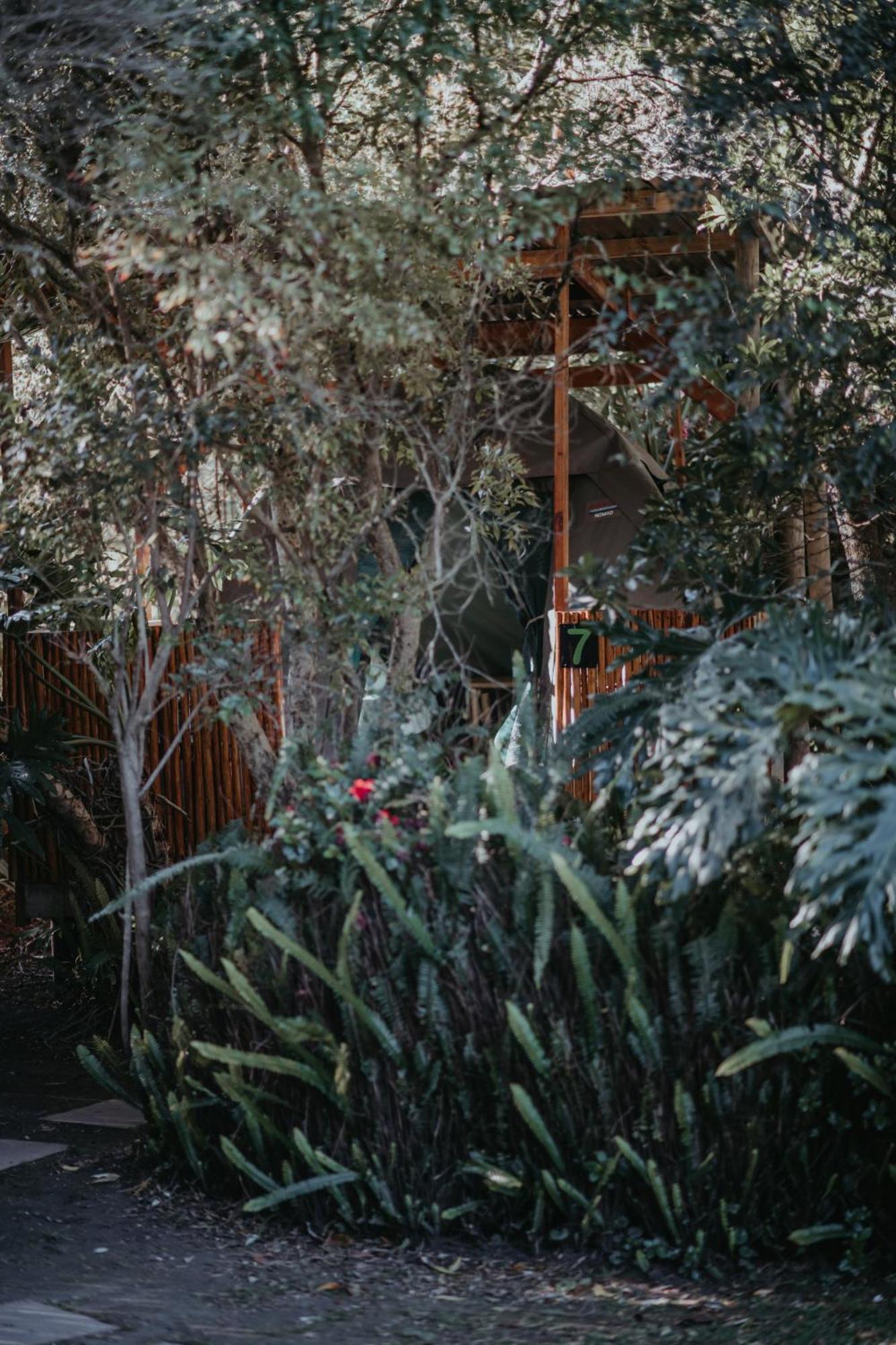 Storms River Forest Lodge Stormsrivier Buitenkant foto