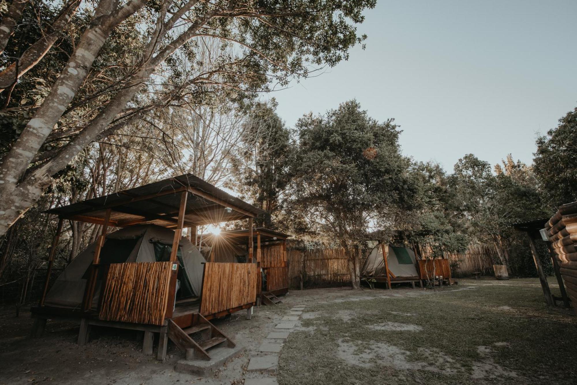 Storms River Forest Lodge Stormsrivier Buitenkant foto